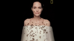 앤젤리나 졸리, 꿀벌 6만 마리에 뒤덮여...'세계 벌의날' 촬영