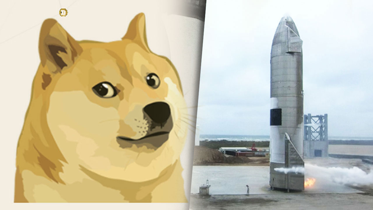 일론 머스크도 안 통해...도지코인 고점 대비 74% 추락 | YTN