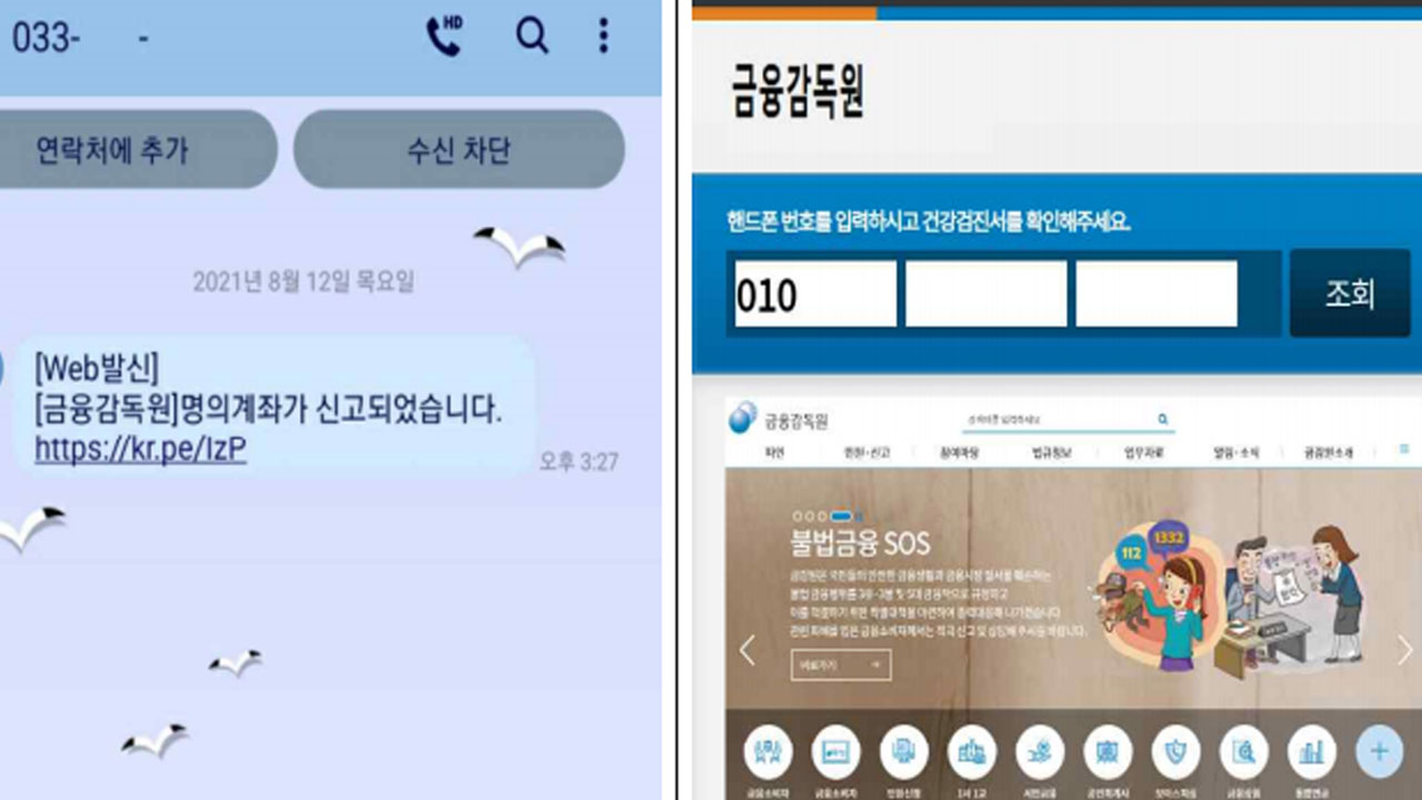 금감원 사칭 보이스 피싱 3시간 만에 신고 71건 들어와 | YTN