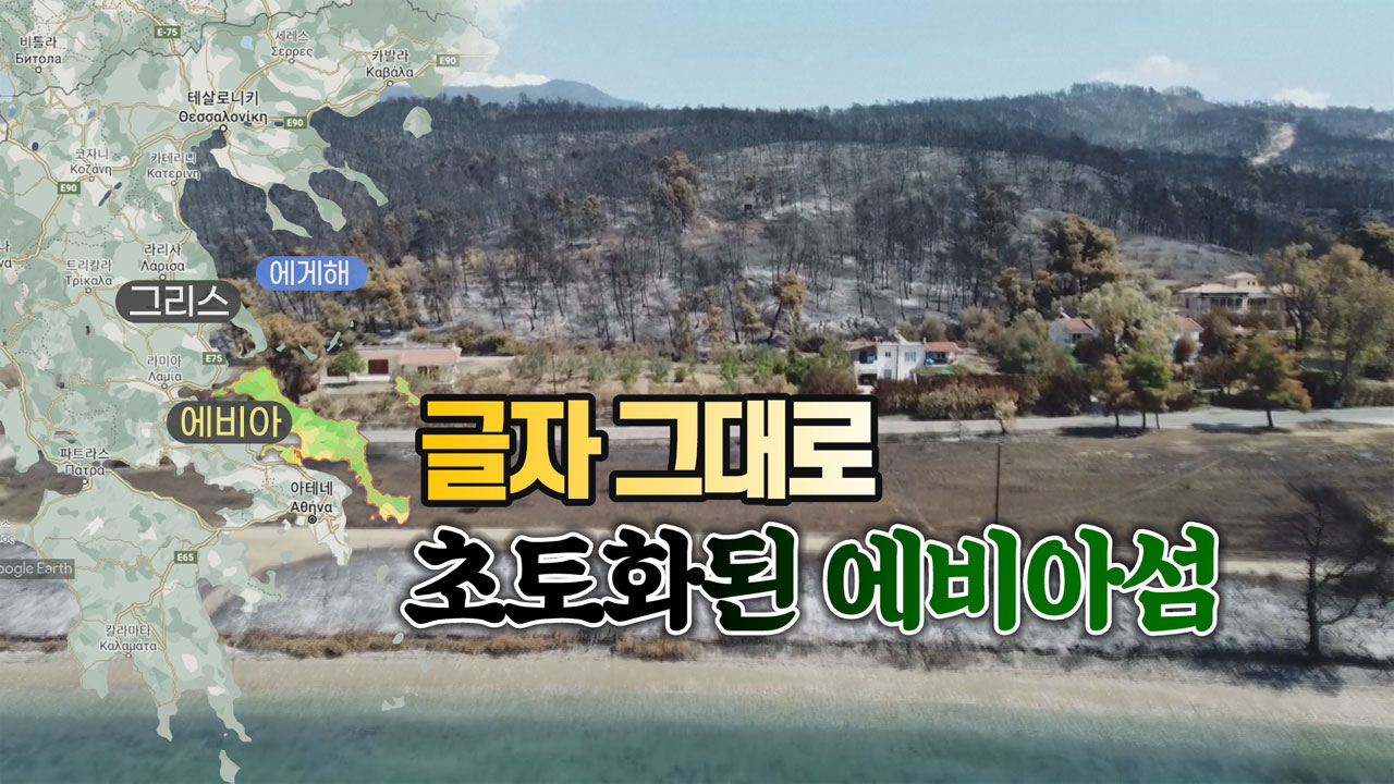 [국제][세상만사] 9일간의 산불로 글자 그대로 초토화된 그리스 에비아 섬 | YTN [세상만사] 9일간의 산불로 글자 그대로 초토화된 그리스 에비아 섬
