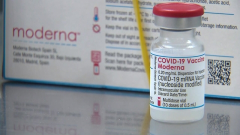 정부 "루마니아 백신 무상 제공 사실 아냐...스와프 협의 중"