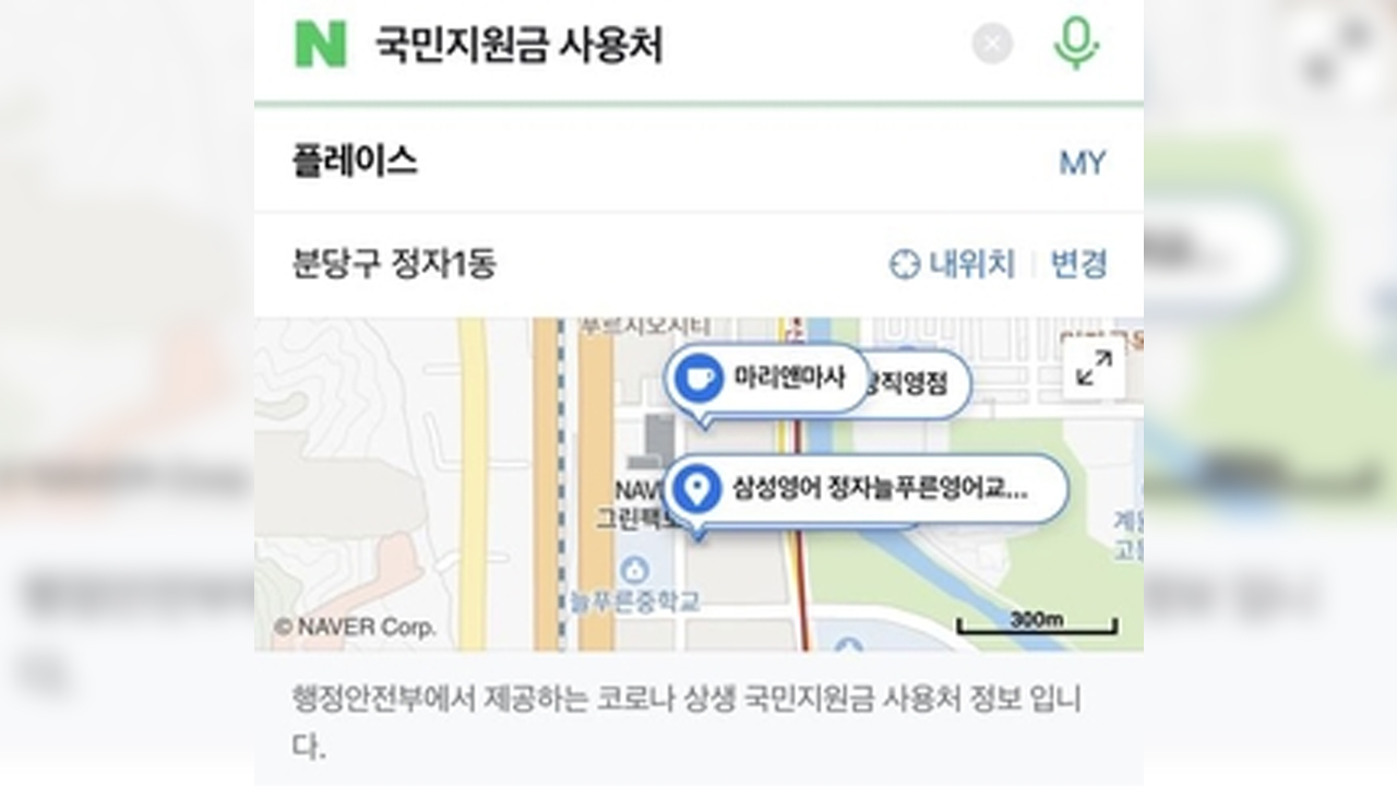 국민지원금 사용처 어디?…포털 지도서 쉽게 찾는다