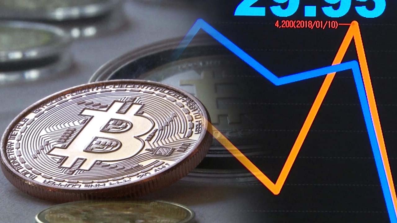 엘살바도르 법정화폐로 비트코인 도입한 날, 비트코인 하락세 | YTN