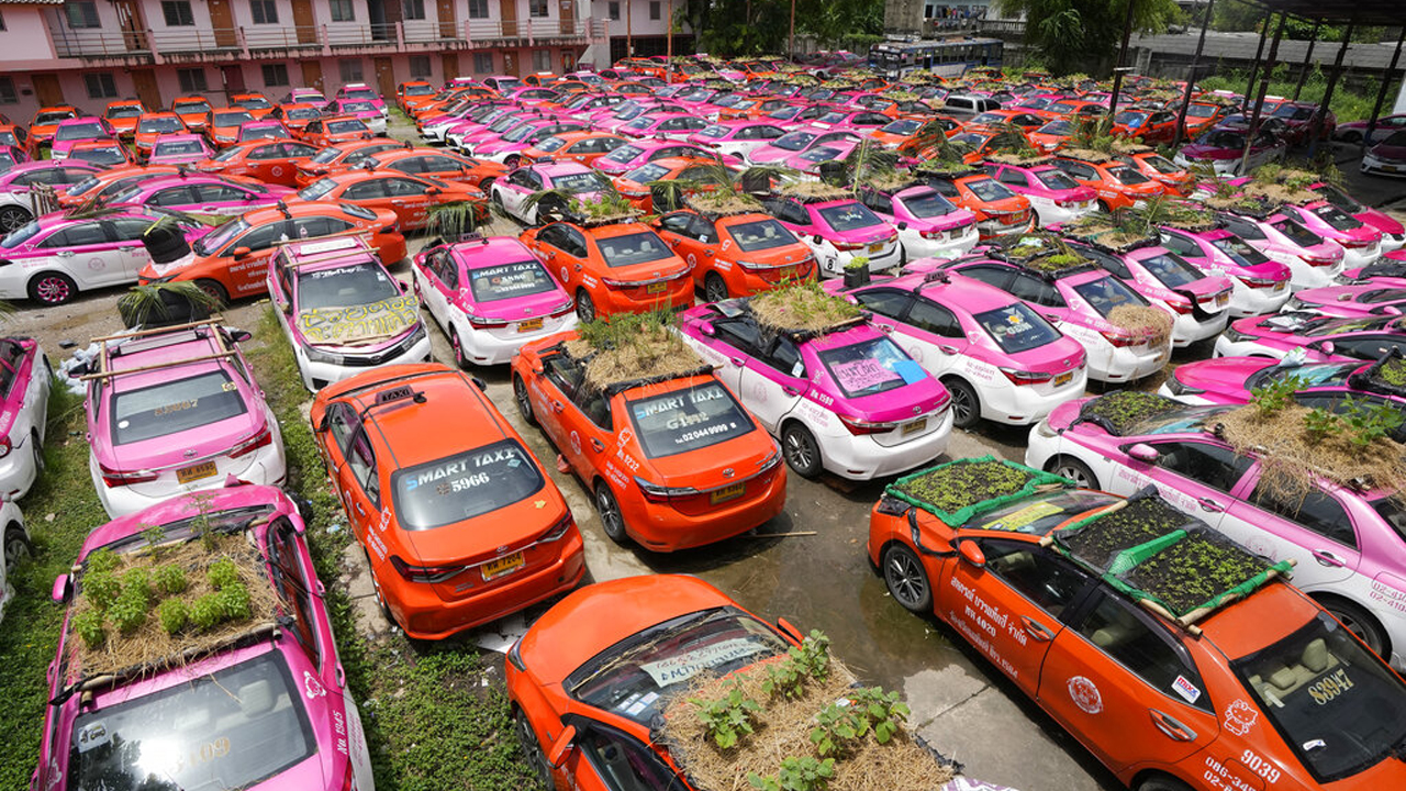 관광객 줄자 차량 위에서 채소 재배하는 방콕 택시 기사들