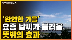 [자막뉴스] 완연한 가을...요즘 날씨가 불러올 '뜻밖의 효과'