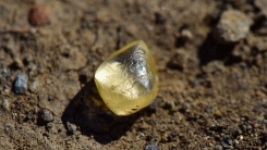 공원에서 주운 노란색 돌멩이 알고 보니 4캐럿짜리 다이아몬드