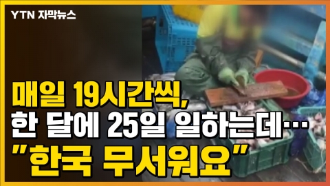 [자막뉴스] 매일 19시간씩, 한 달에 25일 일하는데..."한국 무서워요"