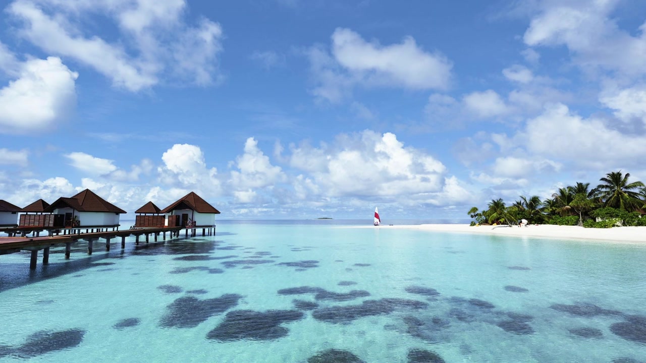 "탄소 배출은 선진국이 하고 피해는 몰디브가 받았다"