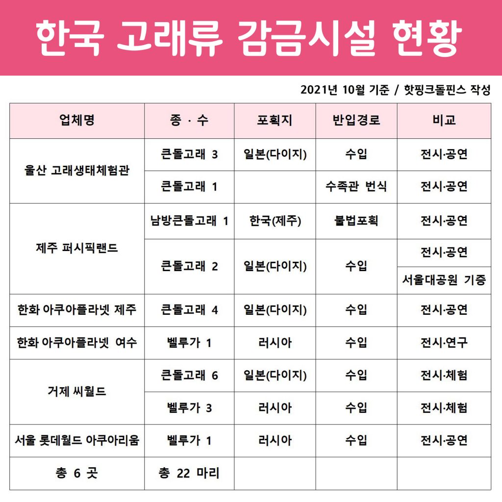 "바다로 가자" 우리나라 돌고래 감금 시설 6곳에 갇힌 돌고래 22마리