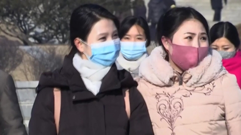 WHO 사무총장 "북한과 에리트레아만 백신 접종 개시 안 해"