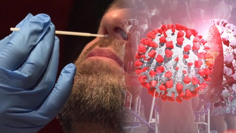 "PCR 검사로 포착 못 하는 '스텔스' 오미크론 등장"