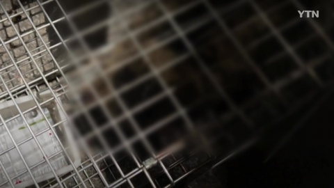 경찰, '길고양이 학대 영상' 게시자 수사 착수