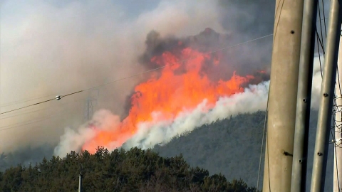 강풍에 되살아난 영덕 산불…일몰로 헬기 철수 뒤 지상에서 진화