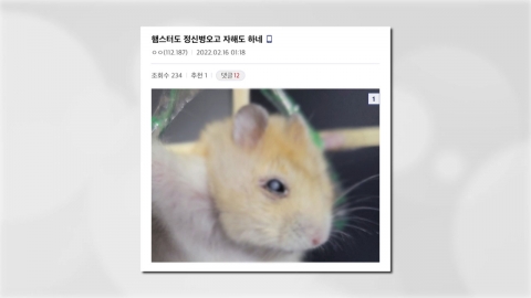 동물단체, '햄스터 학대 영상 게시' 온라인 커뮤니티 폐쇄 촉구
