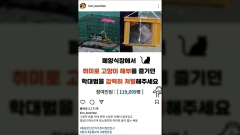 김건희, SNS에 '고양이 학대범 처벌 촉구' 게시글