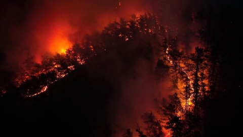밀양 산불 이틀째 계속...밤사이 확산 차단 주력