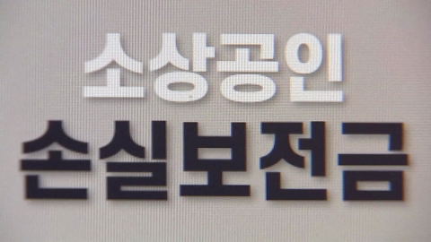 손실보전금 약 332만곳서 20조원 수령...정부 "현충일에도 지급"