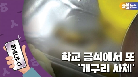 [한손뉴스] 급식용 열무김치 국수에서 '죽은 개구리' 발견