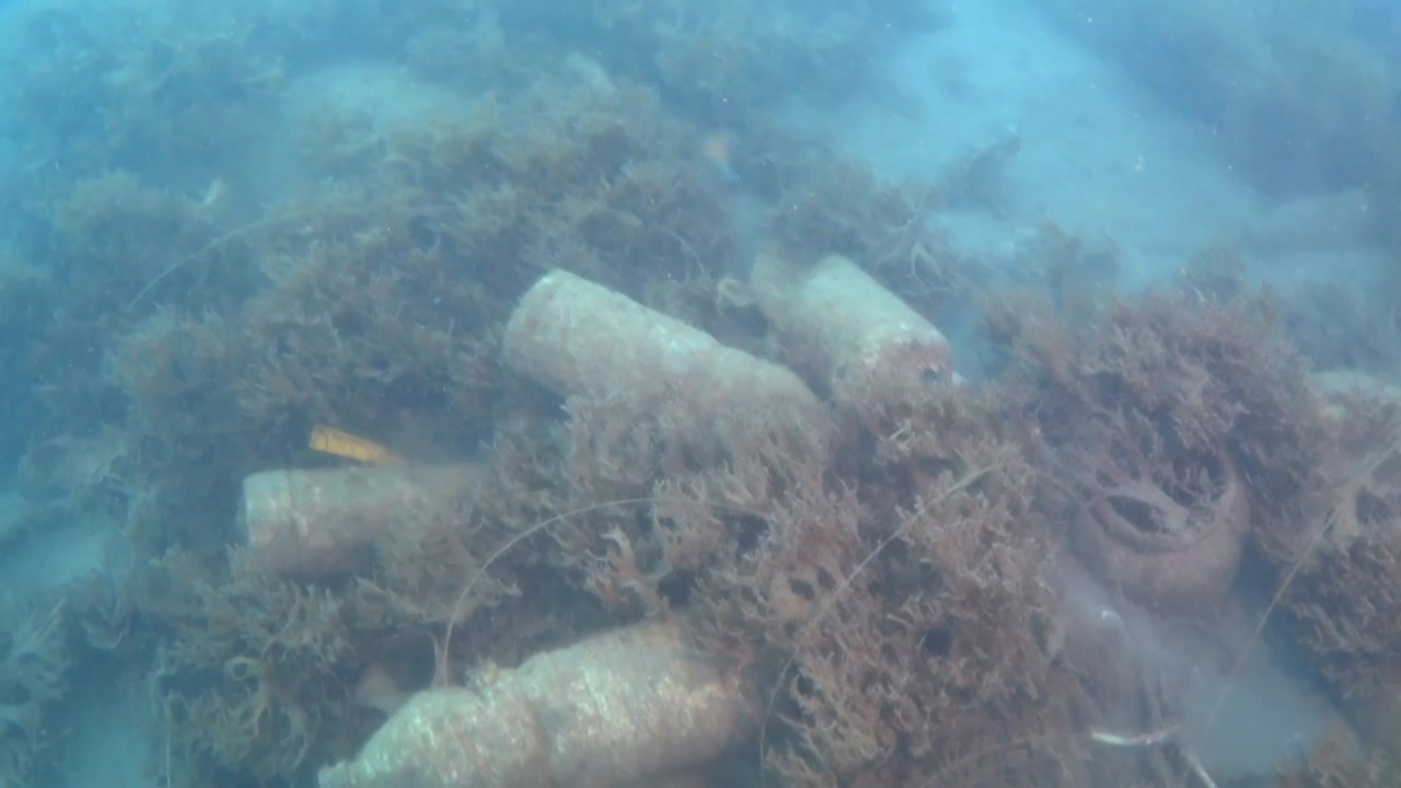 낚싯줄에 감긴 멸종위기 산호...쓰레기에 몸살 앓는 거문도