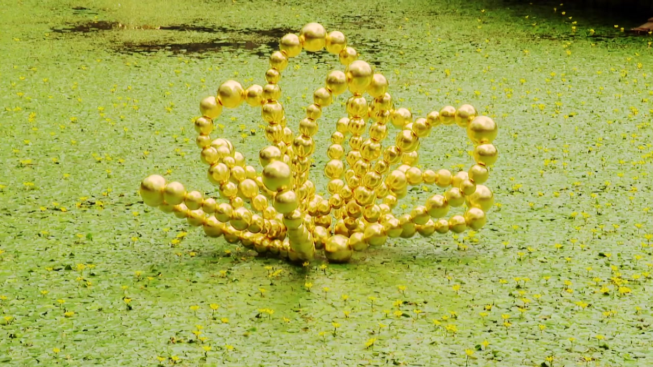 덕수궁 연못에 핀 황금 연꽃...예술과 과학 만나다