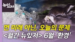 [뉴있저] 녹조, 멸종위기 동물, 플라스틱... 환경 이슈 '총집합'