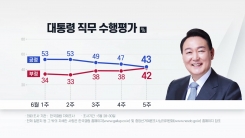 윤 대통령 '직무수행 평가'...전주 대비 4%p 하락