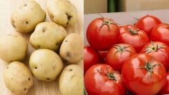 여름철 농산물 가격 급등...감자 1.6배 토마토 1.9배↑
