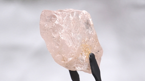 앙골라서 170캐럿 '핑크 다이아몬드' 발견...300년 만에 '최대'