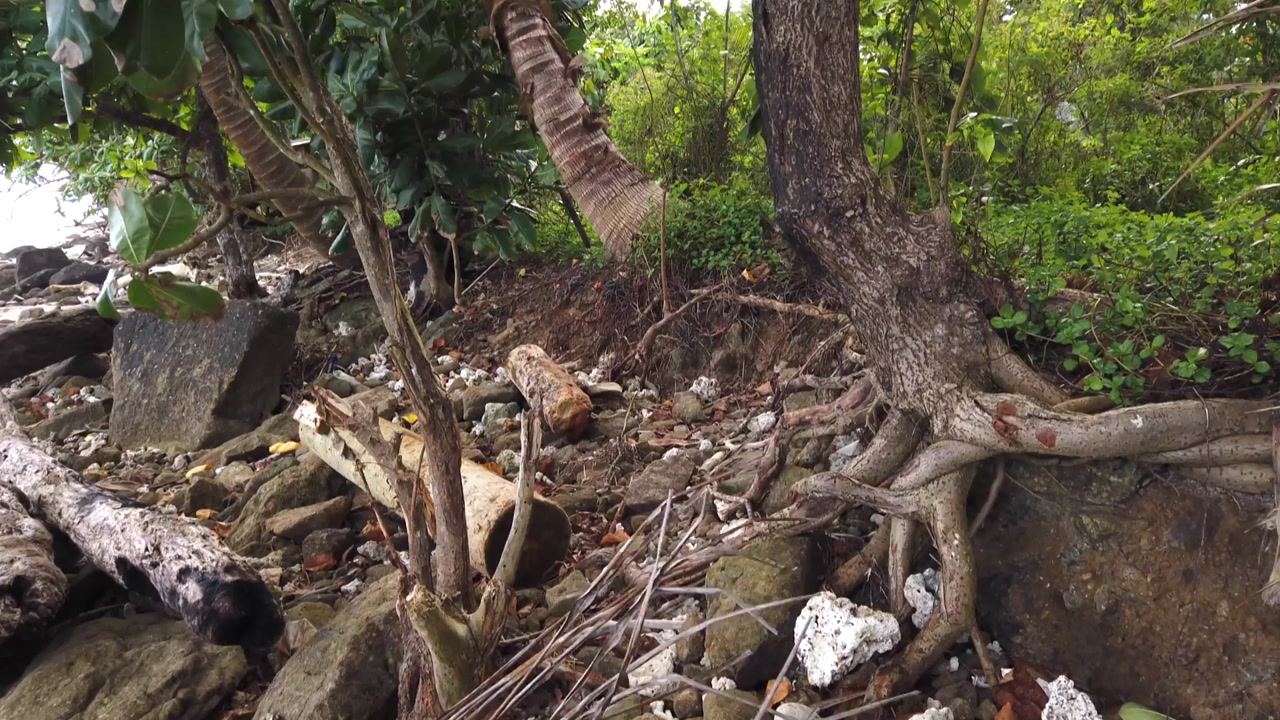 남태평양 피지, 기후변화로 마을 사라질 위기