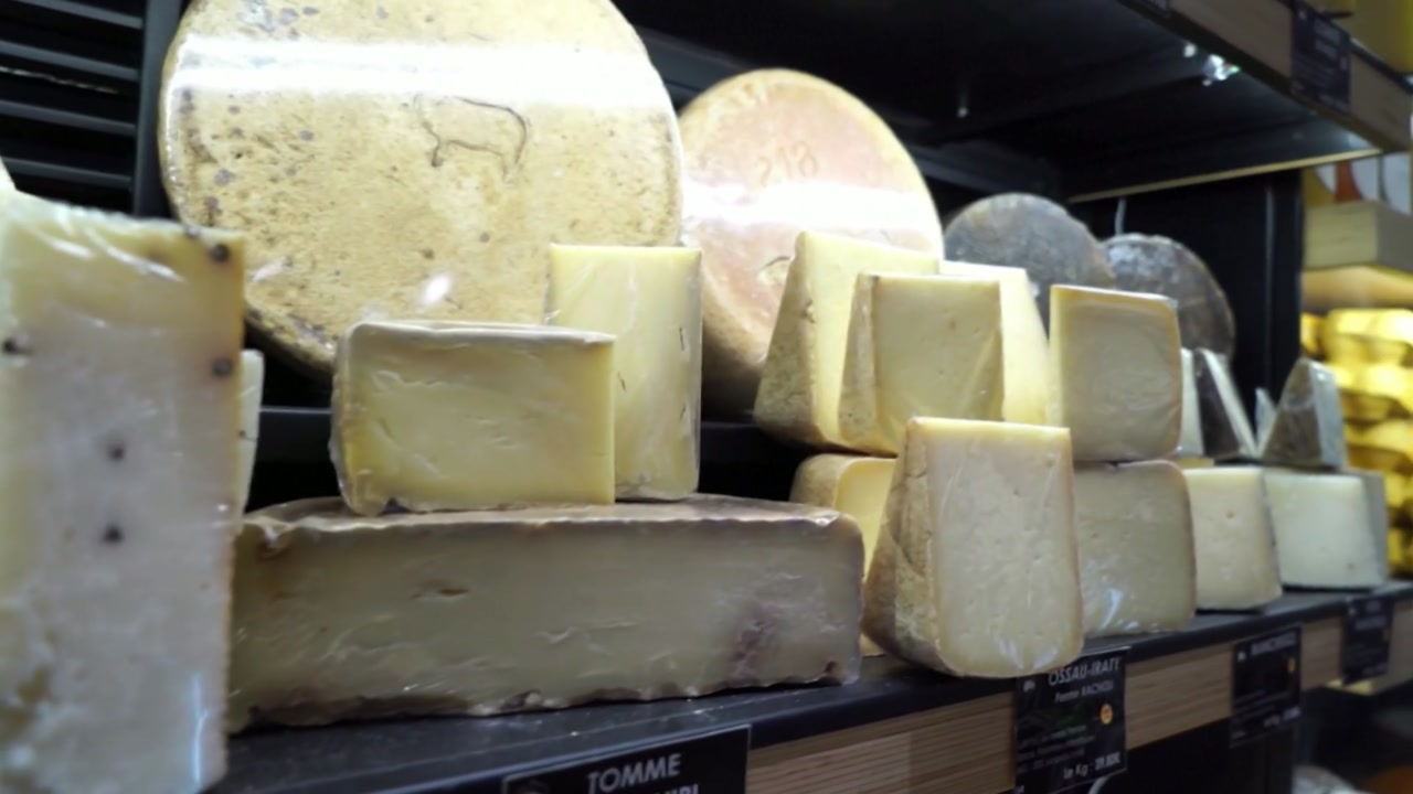 '최악 가뭄' 프랑스...전통 치즈 생산 중단
