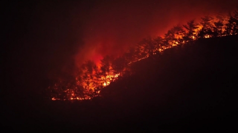 밀양산불 60대 피의자 유서 남기고 숨져...경찰 수사 종결