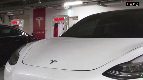 테슬라 집단소송 피소 "말로만 자율주행 약속...고객 속였다"