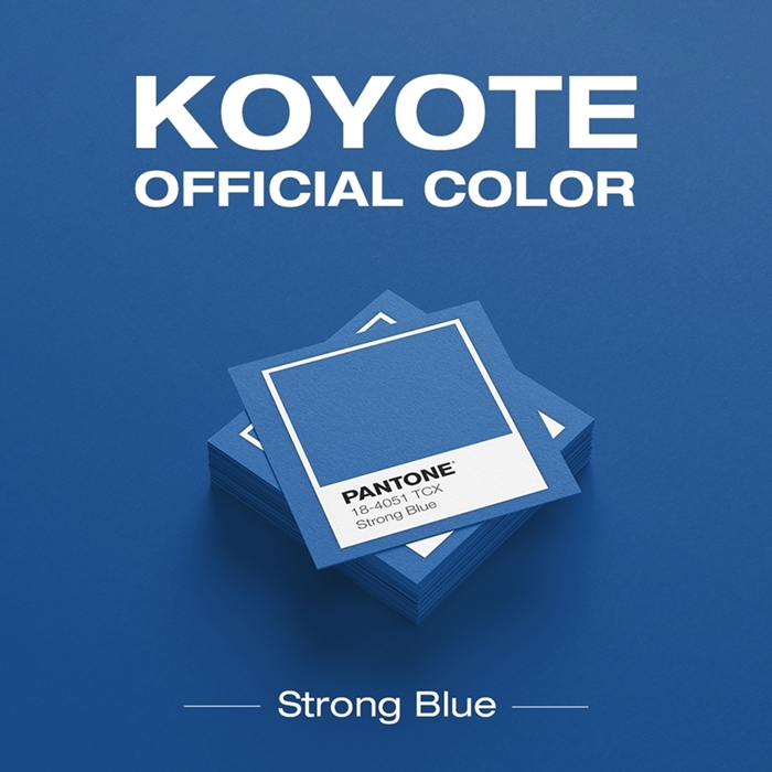 코요태, 24년 만에 공식 색 확정…스트롱 블루 "팬들의 강함을 표현"