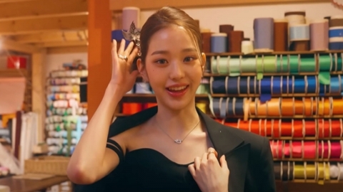 장원영, 파리서 비녀 꽂았다가 봉변...中매체 "우리 문화 도둑질"