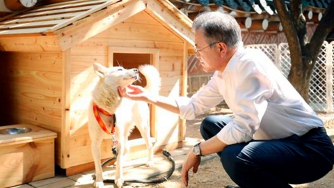 권성동 의원 "文 전 대통령 풍산개 파양 보도...좀스럽고 민망해"