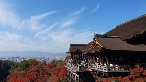 日 여행 인기↑...2가 백신도 3차로 인정돼 여행 가능