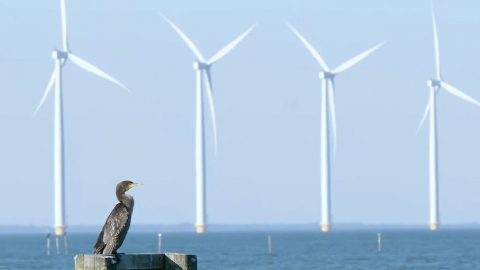 독일 재생에너지 발전비중 47%...올해 '원전 2기 규모' 풍력설비 확충