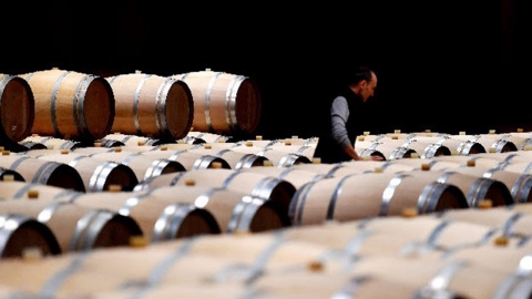 "적포도주 재고 너무 많아"...프랑스, 공업용 알코올로 전환 지원