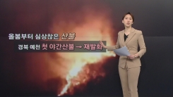 건조+양간지풍, 산불 '초비상'...대형화·재발화 주의