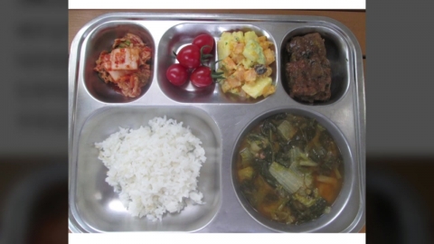 서울 강서구 초등학교에서 식중독 의심 신고…"20여 명 복통 호소"