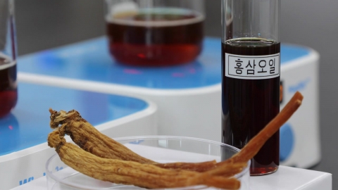 홍삼 오일에 이런 효과가?…전립선 비대증 완화