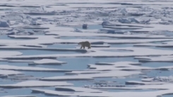 "인류 살얼음 위 서 있다"...IPCC, 유례없는 경고