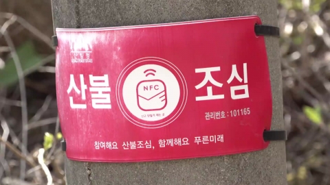 고온·건조 날씨, 동시다발 산불 불러…내일까지 비상