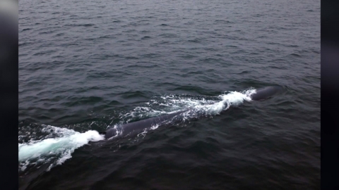 북, 보름 만에 또 수중핵어뢰 시험...남북 통신도 불응