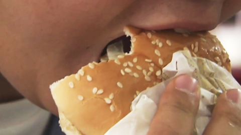 지난달 햄버거 가격 상승률 17.1%...19년 만에 최고