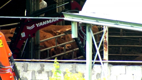 청주 한우 농장 3곳 구제역…반경 3㎞ 우제류 농장 232곳