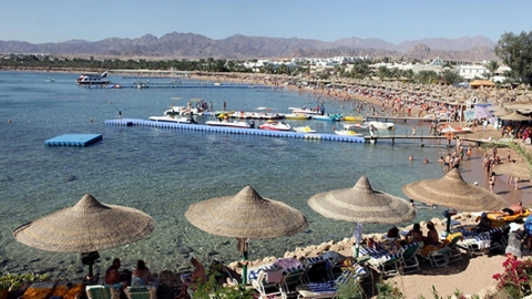 이집트 휴양지서 상어 습격으로 러시아인 사망