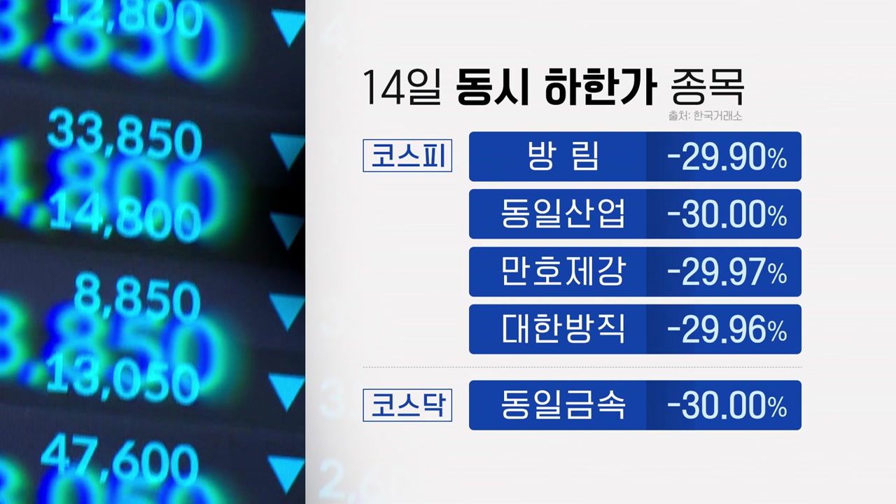 5개 종목 무더기 하한가...폭락 하루 만에 본격 수사 | YTN