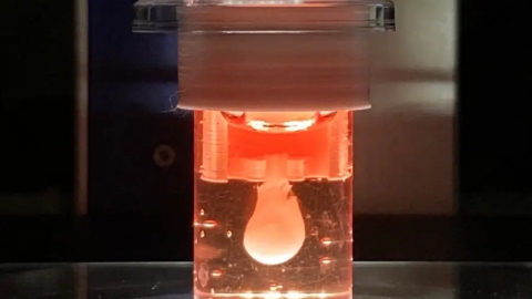 3D 프린터로 만든 미니 심장…3개월간 스스로 뛰기도