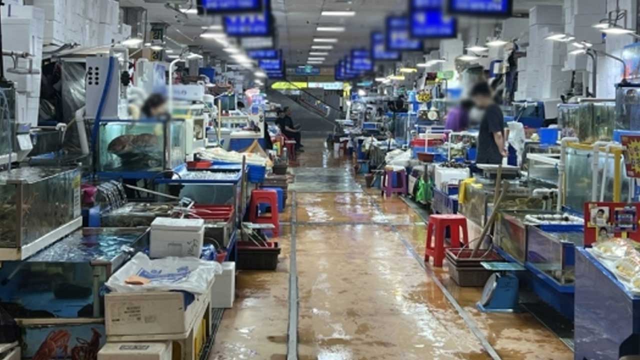 국민의힘 의원이 마신 노량진 수조물은 어떻게 왔을까?